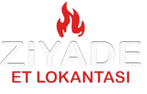 logo1
